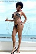 Prato Escort Jasmine 375 74 36 601 foto 16