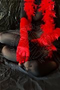 Venezia Escort Tiny Mouse 328 46 90 312 foto 4